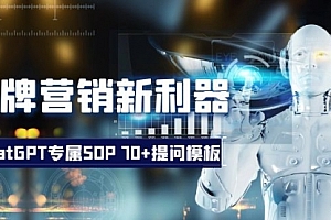 【副业项目8569期】品牌营销新利器:ChatGPT专属SOP,70+提问模板