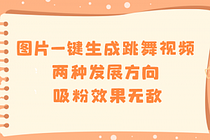 【副业8675期】图片一键生成跳舞视频,两种发展方向,吸粉效果无敌