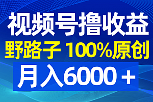 【副业8771期】视频号野路子撸收益,100%原创,条条爆款,月入6000+