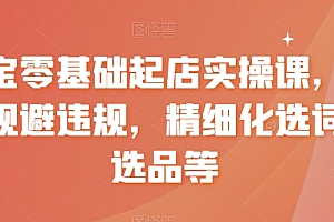 【副业8935期】淘宝0基础起店实操课,店铺规避违规,精细化选词及选品等
