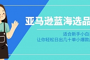 【副业8949期】亚马逊-蓝海选品课:适合新手小白卖家,让你轻松日出几十单小爆款产品