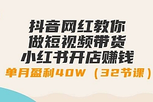 抖音网红教你做短视频带货+小红书开店赚钱,单月盈利40W(32节课)