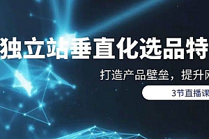 独立站-垂直化选品训练营,打造产品壁垒,提升网站利润(3节直播课)