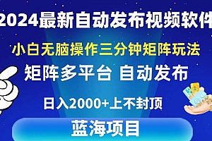 2024最新视频矩阵玩法,小白无脑操作,轻松操作,3分钟一个视频,日入2k+
