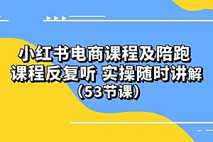 小红书电商课程陪跑课 课程反复听 实操随时讲解 (53节课)