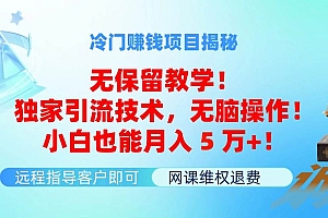 冷门赚钱项目无保留教学!独家引流技术,无脑操作!小白也能月入5万+!