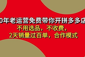 拼多多-合作开店日入4000+两天销量过百单,无学费、老运营教操作、小白…
