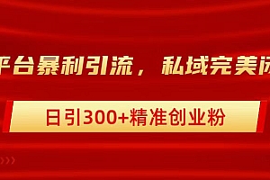 跨平台暴力引流,私域完美闭环,日引300+精准创业粉