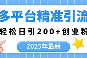 2025年最新多平台精准引流,轻松日引200+