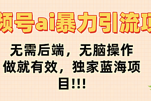 视频号ai暴力引流项目,无需后端,无脑操作,做就有效,独家蓝海项目!!!