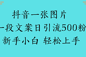 抖音一张图片 一段文案日引流500粉新手小白 轻松上手