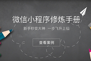 【副业项目2045期】小程序修炼手册 49份小程序运营技巧与市场研报 新手秒变大神