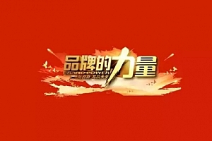 【副业项目2015期】从0开始打造深入人心的品牌,让用户爱不释手