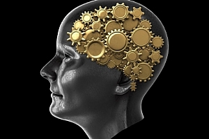 【副业项目2198期】超强的记忆方法训练,课程+实操+作业+答疑,价值900元