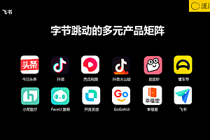 【副业项目2339期】飞书:如何实现团队提效与组织升级,市场中获胜的法宝