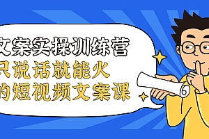 【副业项目2559期】文案实操训练营,只说话就能火的短视频文案课