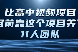 【副业项目2592期】中视频项目,目前靠这个项目养了11人团队