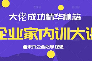 【副业项目2595期】企业家内训大课,大佬成功精华秘籍首次揭秘,未来企业必学经验