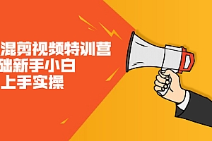 【副业项目2605期】二次混剪视频特训营,0基础新手小白都能上手实操,两天开干