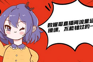 【副业项目2623期】数据哥直播间流量运营线上实操课,不可错过的一套系统课