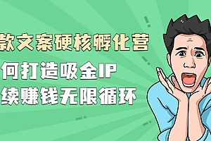 【副业项目2755期】『爆款文案硬核孵化营』如何打造吸金IP,持续赚钱无限循环