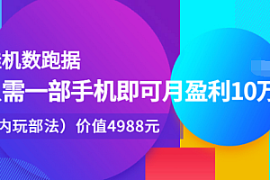 【副业项目2840期】挂机数跑据,只需一部手机即可月盈利10万+(内部玩法)价值4988元