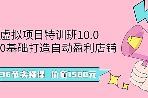 【副业项目2960期】虚拟项目特训班10.0,0基础打造自动盈利店铺 36节实操课 价值1580元