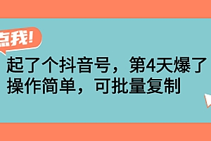 【副业项目2999期】起了个抖音号,副业项目4天爆了!操作简单,可批量复制