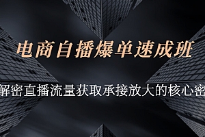 【副业项目3054期】电商自播爆单速成班:解密直播流量获取承接放大的核心密码