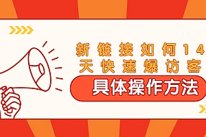 【副业项目1934期】进阶战术课:新链接如何14天快速爆访客:具体操作方法(视频教程)