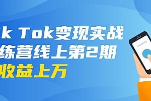【副业项目1966期】龟课·Tik Tok变现实战训练营线上副业项目2期:日入上百+美刀 月收益上万不成问题