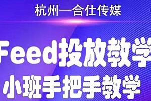 【副业项目2053期】合仕传媒Feed投放教学,手把手教学,开车烧钱必须自己会!